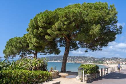 French Riviera Hôtel · Hôtel Belles Rives Juan-Les-Pins